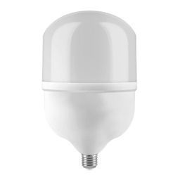[CDL/6802] LAMPARA LED ALTA POTENCIA 20W LUZ DIA  - CANDELA